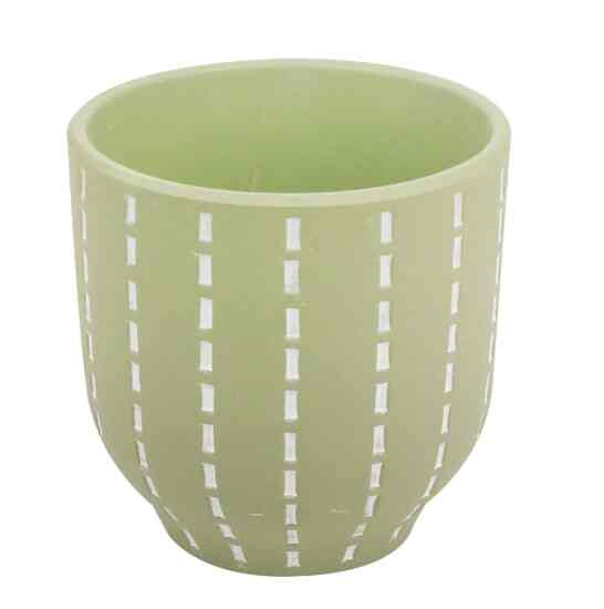 Pot tanaman semen hijau