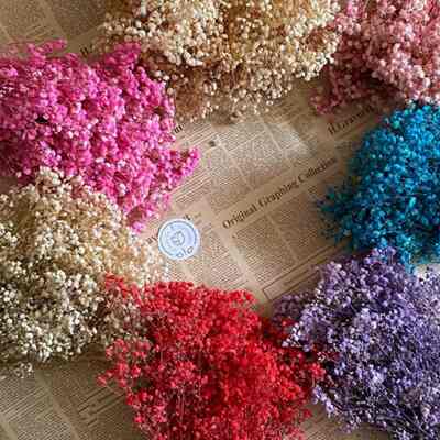 Baby Breath Dried Flower