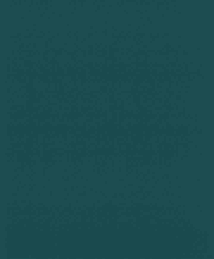 rasch ラッシュ / 806809 (Denzo ll) 壁紙