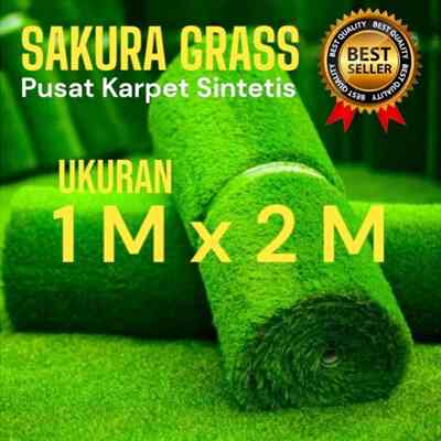 Rumput Sintetis 1x2M