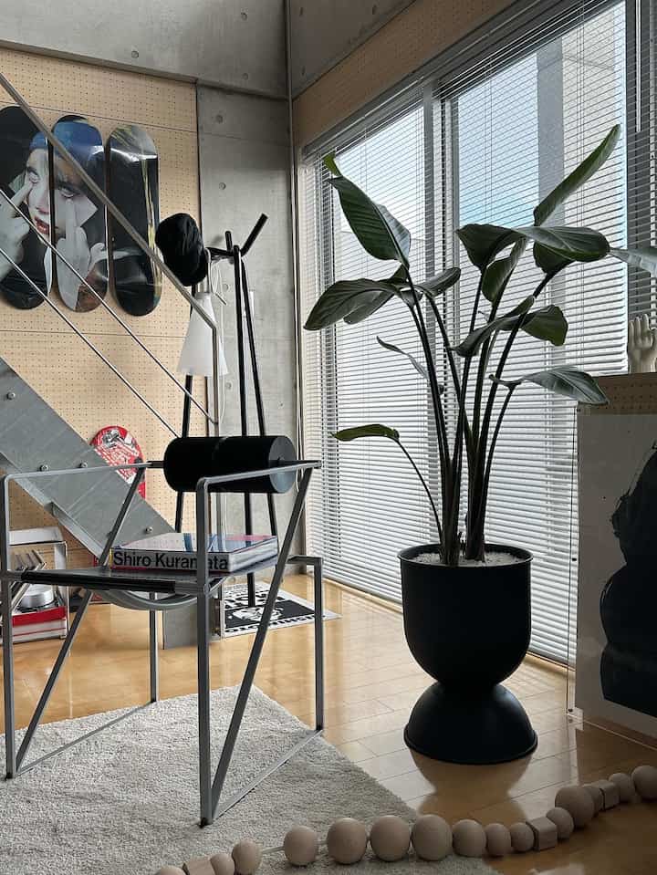 ナチュラルな色調とコンクリート壁が調和したリビング、モダンなインテリアに大きな植物とメタルのコートラックが配置された空間