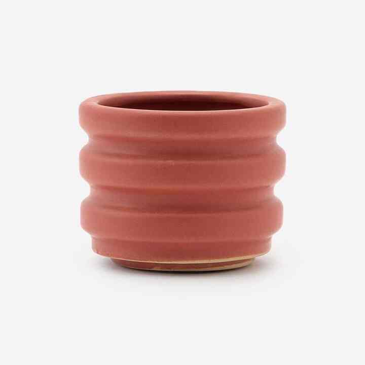 シア トレント レッド