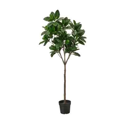 FEJKA Tanaman tiruan dalam pot, dalam/luar ruang magnolia, 23 cm