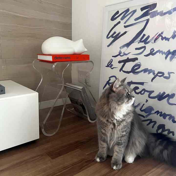 ナチュラルなブラウンの木目床と白い壁のコーナースペース、透明アクリルのスツール上に白い猫のオブジェとグレーの猫がいる雰囲気のあるインテリア