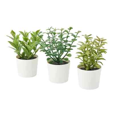 FEJKA Artifi potted plant w pot, set of 3, in/outdoor herbs, 5 cm