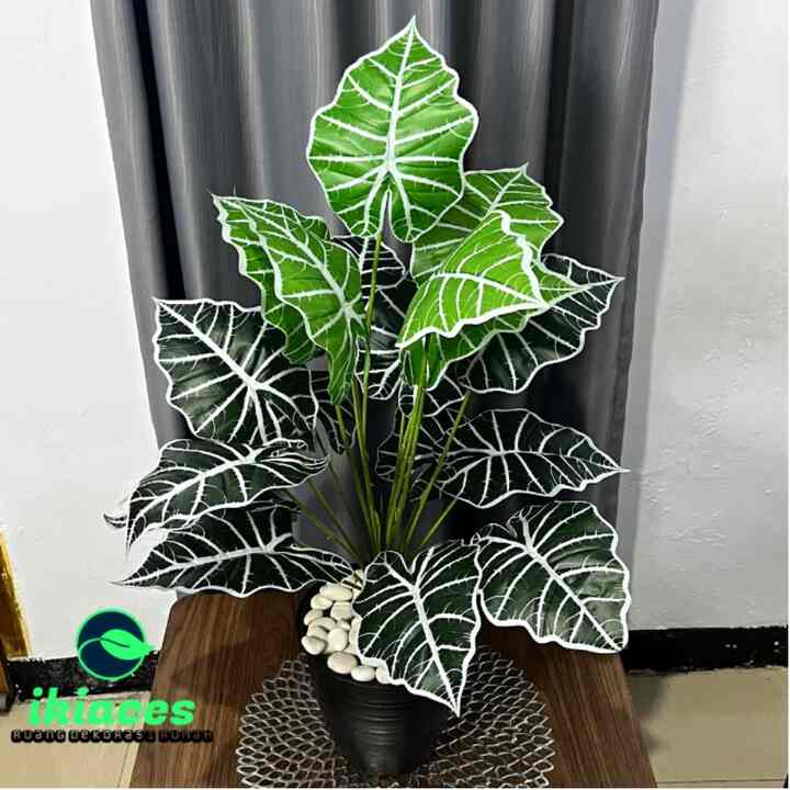 DAUN AGLONEMA ARTIFICIAL