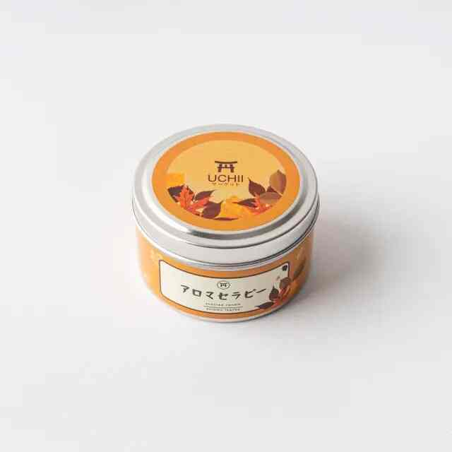 Aroma Therapy Lilin Wangi Autumn Leaf