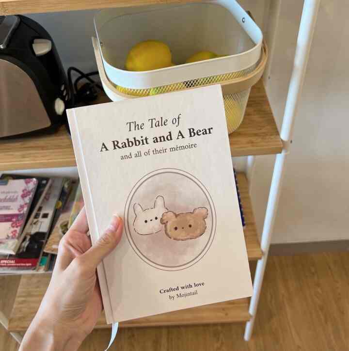 The Tale of a Rabbit and a Bear Book