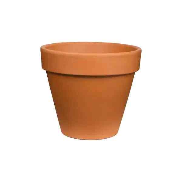 Pot Terracotta, Sabuk