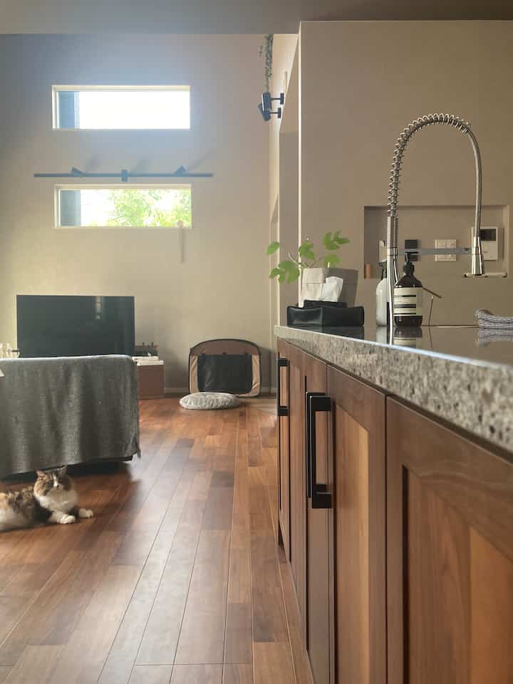 憧れのaesop𓄃𓄃

お家を建てたら絶対買うぞーと意気込んでgetしたaesopさん。
使い心地も香りもパケも、全部好み◡̈
けどお値段も良いので…
ちょびっとずつ使いがち。


#aesopのある暮らし
#猫と家 
#ウォールナットインテリア 
#グレーの壁紙 