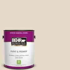 Eggshell Enamel Paint & Primer