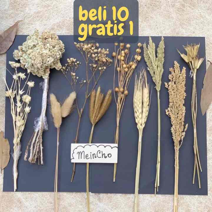 Bunga Kering (cantel)