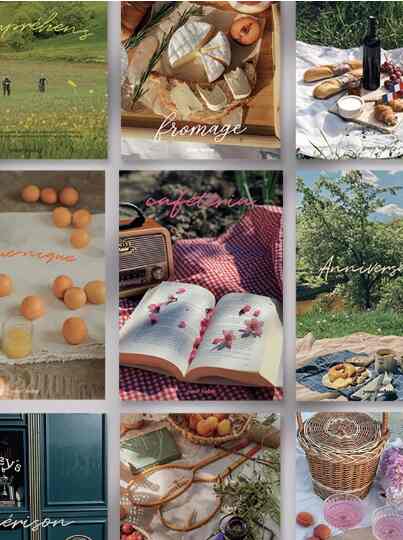 French vibes poster series(A3, A2)