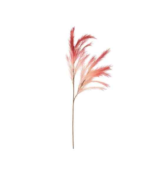 アートプランツ パンパス【6colors】