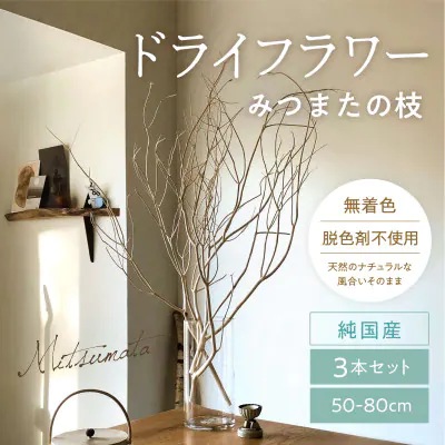 TSUKIGIみつまた 白枝 インテリア オブジェ 50cm～80cm | オブジェ