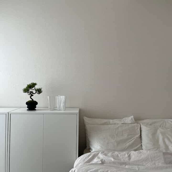 盆栽が映える空間

#iittala #フラワーベース #花瓶 #アルヴァアアルト #盆栽 #シーズングリーン #ベッド #ベッドルーム #テキスタイル #無印 #無印良品 #洗いざらし #シーツ #ホワイトインテリア #ナチュラルインテリア #海外インテリア #和風インテリア #シンプルインテリア #一人暮らし #一人暮らしインテリア  #ワンルーム #ワンルームインテリア #interior #room #home