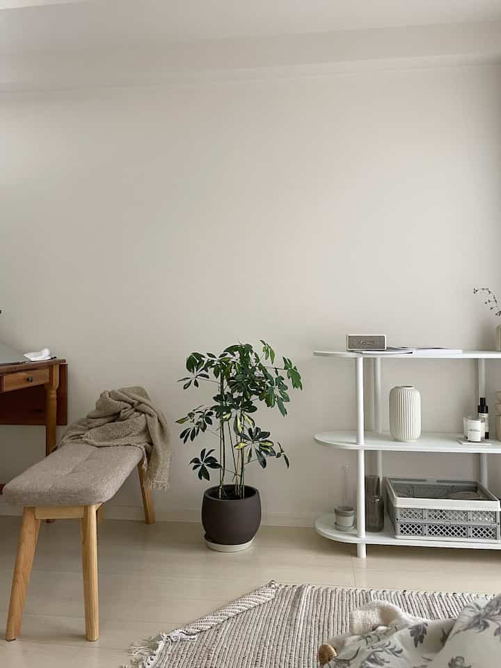 明るいベージュとホワイトのトーンのダイニングルーム、ベンチと棚、観葉植物が配された雰囲気のあるインテリア