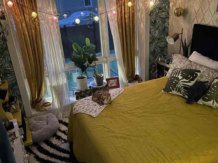 Tagged posts featuring Cotton Ball String Lights 1