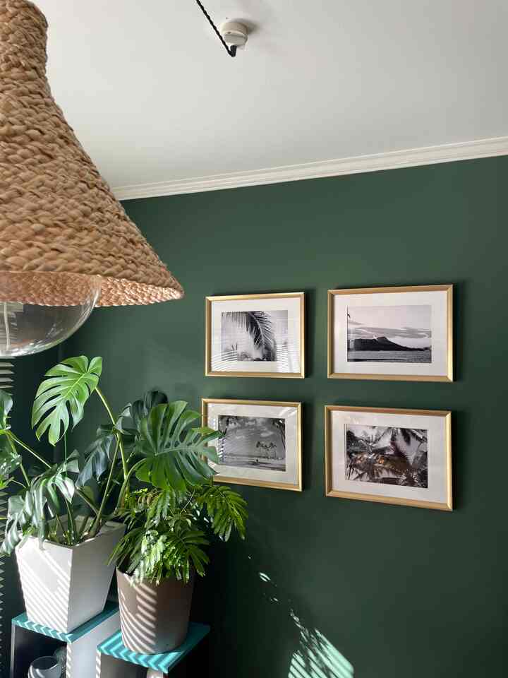 緑色の壁にゴールドの額縁が飾られたリビング、二つの大きな植物と自然素材のペンダントライトが配置された雰囲気のあるインテリア