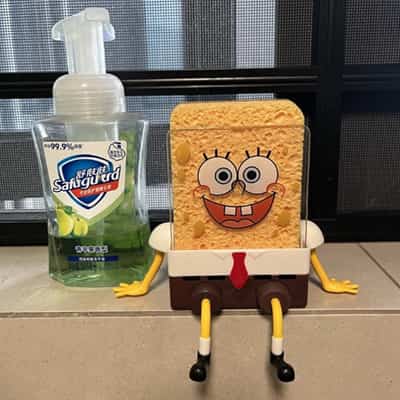 SpongeBob spons