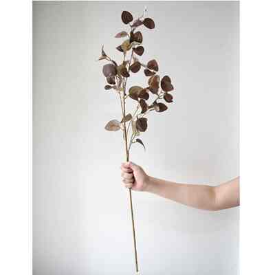 Eucalyptus Populus Artifisial