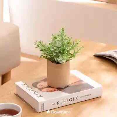 SHIWA Tanaman Tiruan Timi dalam Pot Rami