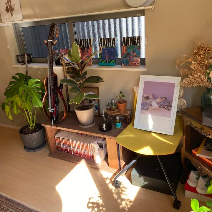Natural toned living room featuring monstera and ficus plants, wooden shelving, and a yellow office chair creating a cozy interior