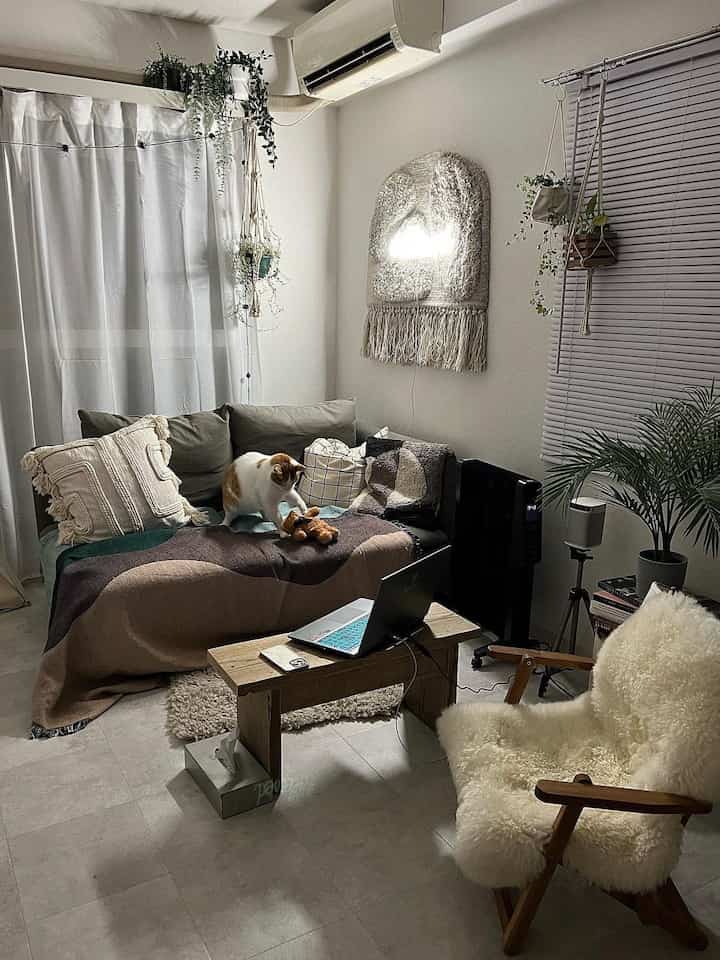 A white and brown toned living room featuring a 3-seat sofa, armchair, a cat playing, and indoor plants with a cozy atmosphere