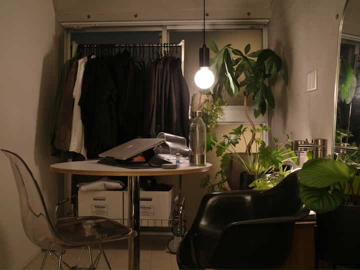 White-toned studio apartment home office with black accents and various plants