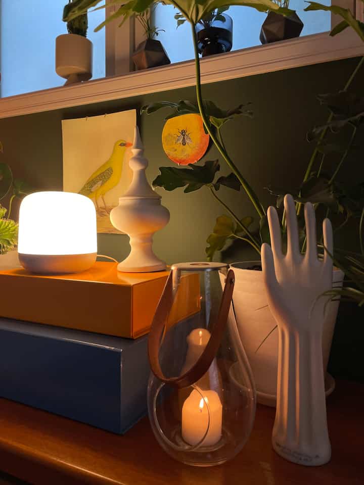 ヴィンテージの棚の上は植物を沢山置き、
好きなものをデコレーションしています。
ハンドオブジェ、ジョンデリアンのプレート、
ホルムガードのランタン、
HAYのBOXと好きな物が詰まった棚にしています
#hay #johnderian #holmegaard #デコレーション #ホルムガード #ハンドオブジェ #植物