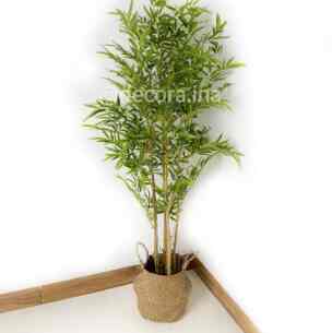 Tanaman Hias Pohon Bambu 160Cm