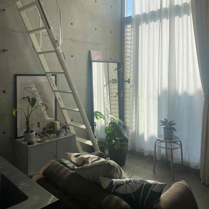 Natural tone living room with concrete wall, loft ladder, plants, and poster creating a cozy atmosphere