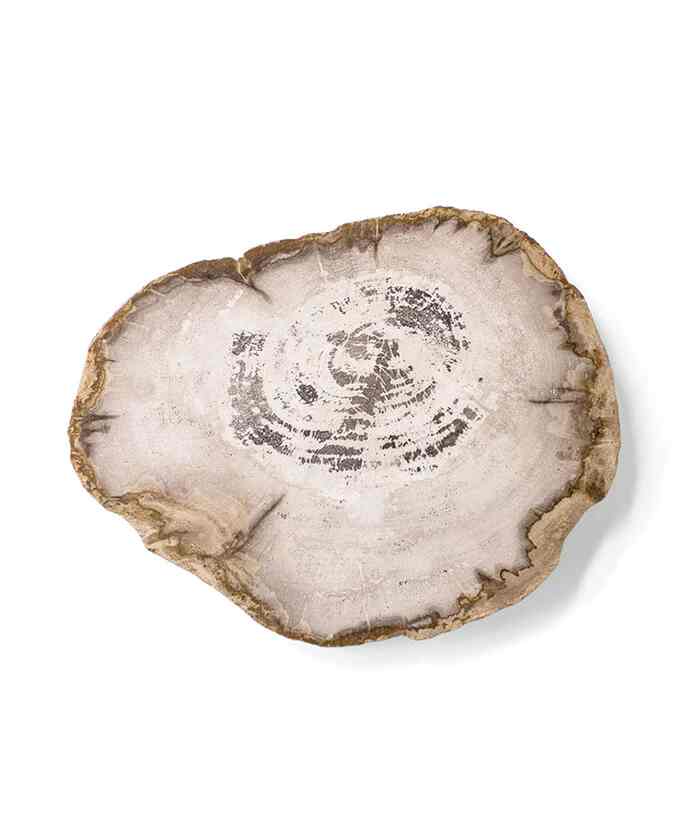 WOOD プレート 20［2色］