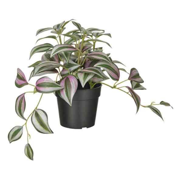 FEJKA, Tanaman tiruan dalam pot, dalam/luar ruang spiderwort, 9 cm