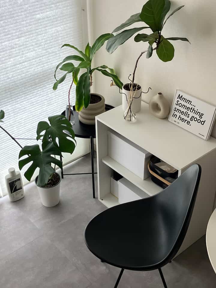 Natural tone living room featuring white and black furniture with green plants arranged