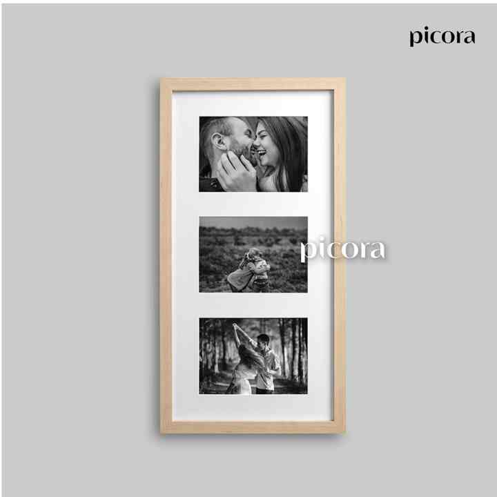 Multi Opening Frame 25x50cm