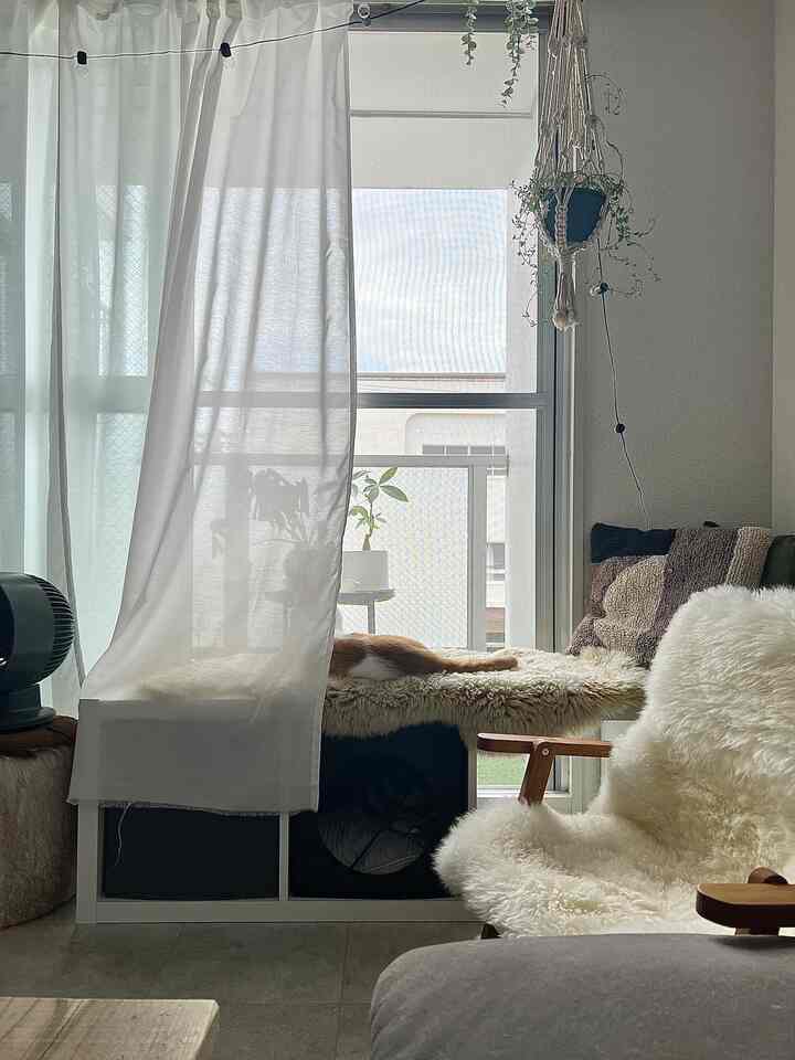 柔らかな白とナチュラルな色調の1LDKリビング、キャットタワーと快適なアームチェアが配置された落ち着いた空間