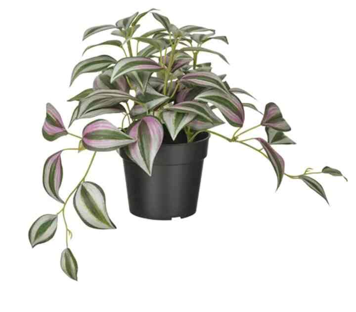 FEJKA Tanaman tiruan dalam pot, dalam/luar ruang spiderwort, 9 cm