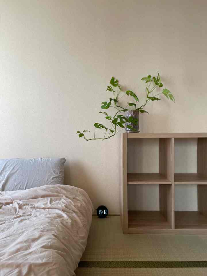 Ruangan netral #ikea #たたみ #neutral #plants