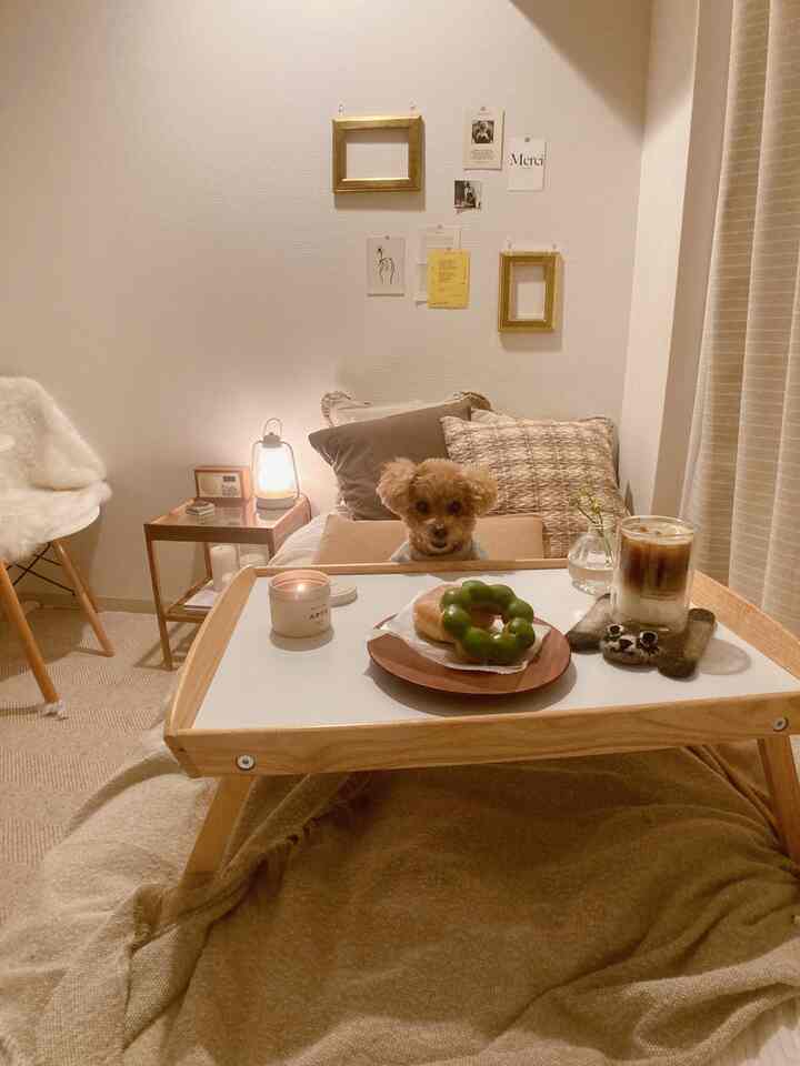 ベージュと木目調のリビング空間、クッションの上に犬が座り、トレイの上にはコーヒーやドーナツ、キャンドルが置かれた雰囲気のあるおうちカフェ