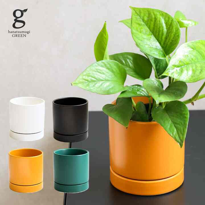 オーセ 11 植木鉢 陶器 4号