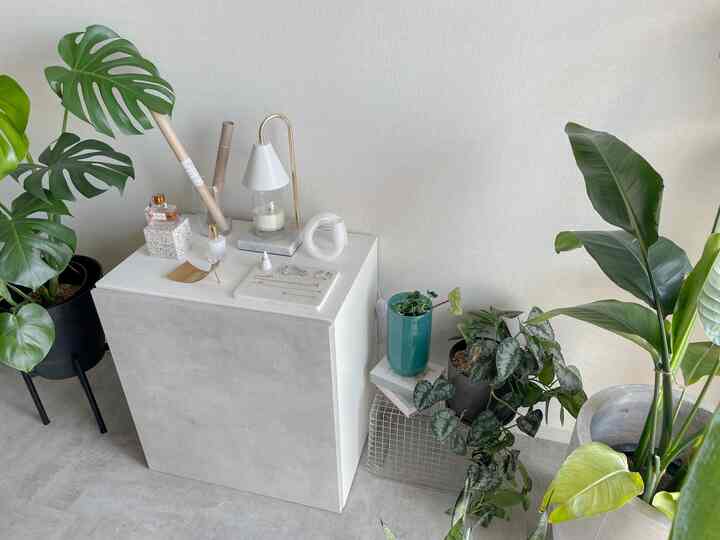 白とグレーのトーンが基調のリビングルーム、棚と多くの植物が配置された自然な雰囲気のあるモダンなインテリア