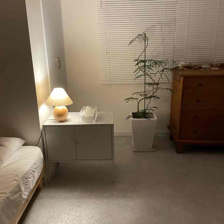 白とナチュラルウッドの調和が美しいシンプルな寝室、ベッド、ナイトテーブル、チェスト、植物が落ち着いた雰囲気を作り出している部屋