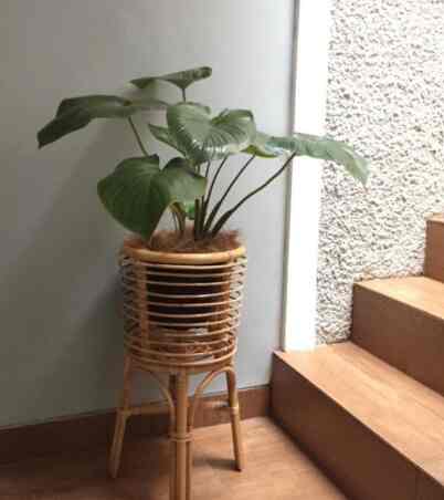 standing pot aesthetic