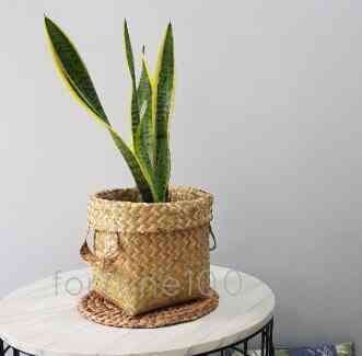 Keranjang Anyaman Purun Handle