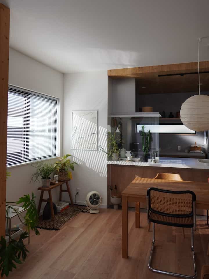 Bright and cozy living-dining room featuring natural wood flooring and dining table with plants and blinds