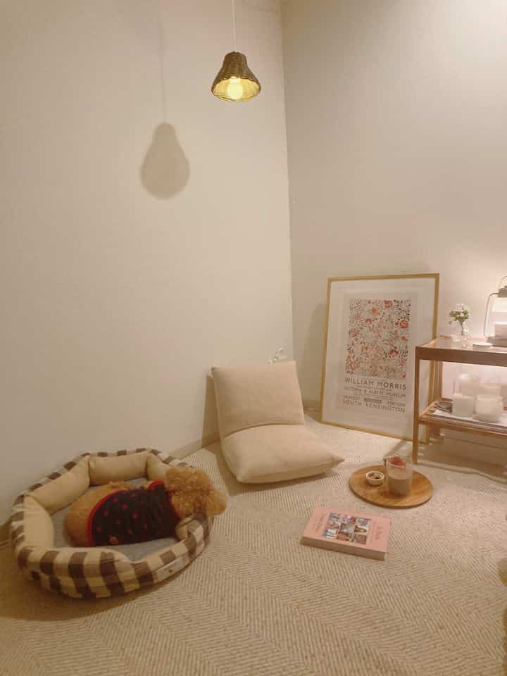 A compact living room in beige and brown tones featuring a floor chair and a dog bed creating a cozy atmosphere