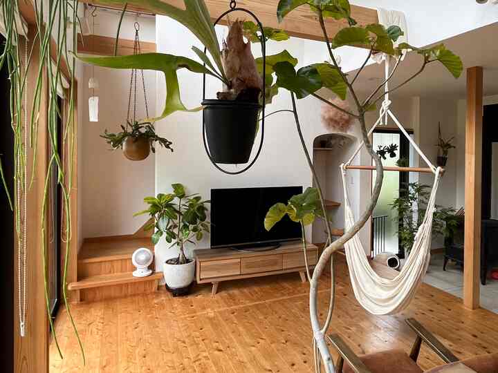 Natural-toned living room featuring plants and a hammock chair with a cozy atmosphere