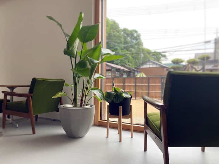 大きめのグリーンがあると空間がぐっと良くなる。
大きな窓で室内が明るく、機械換気で常に空気が入れ替わっているので、空気質が良く植物がよく育ちます。

壁紙に選んだのは「しっくいフリース」という紙クロス。
当初はAP塗装の予定でしたが、クロスの方が減額になるとのことで変更。
ビニールクロスだと静電気など気になりますが、しっくいフリースは漆喰なので静電気で埃がつくこともなく、調湿効果もあり、見た目も塗り壁のようで最高です。


#紙クロス #壁紙 
#カリモク60
#1人ソファ 
#リノリウム #マーモリウム
#観葉植物