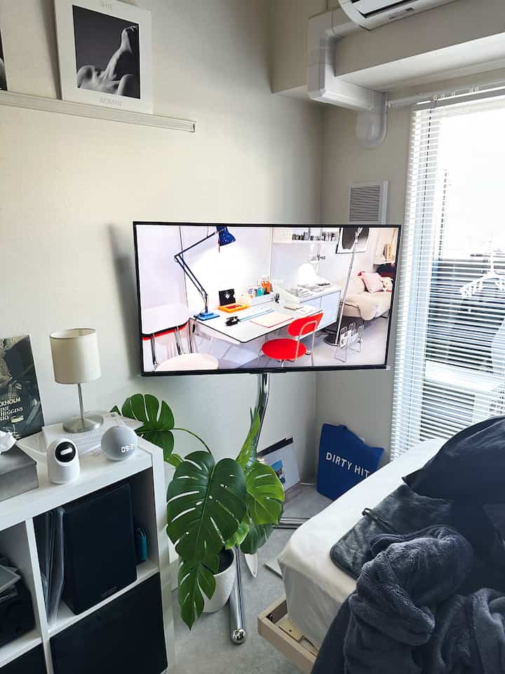 Modern studio apartment with white and black tones featuring a bed, TV stand, and a large green plant